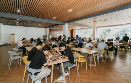 深圳知上藝術(shù)畫室 獨(dú)具匠心精品教學(xué),實(shí)力締造滿園碩果