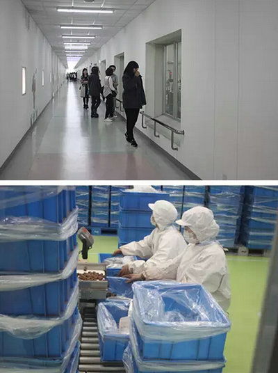 上海燎原國際高中學生社會實踐 明治巧克力工廠參觀