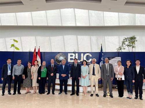 同濟(jì)大學(xué)國際中文教育信息化研究基地在埃及成立，推動國際中文教育創(chuàng)新發(fā)展