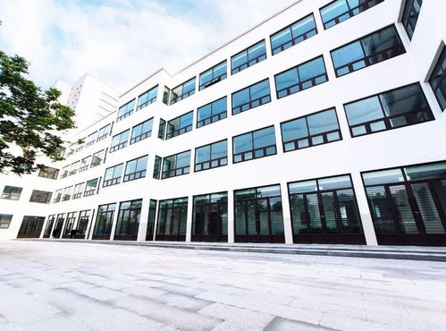 開封市貞元學(xué)校國際教育學(xué)院 為古城再添優(yōu)質(zhì)教育新力量