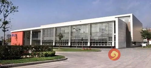 最高一套8000萬！國際教育學院旁豪宅搶購現場火爆，戴口罩排隊竟引沖突