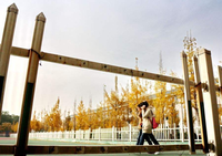 洛陽師范學(xué)院國際教育學(xué)院